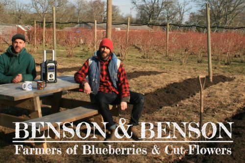 Benson & Benson (Trehane Blueberry PYO) – helping to expand