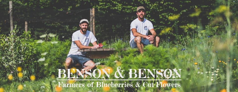 Benson & Benson (Trehane Blueberry PYO) – helping to expand the business